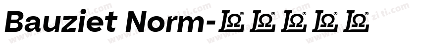 Bauziet Norm字体转换